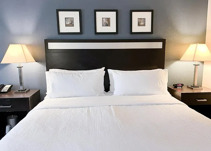 Express & Peoria Area By Ihg 3* Morton