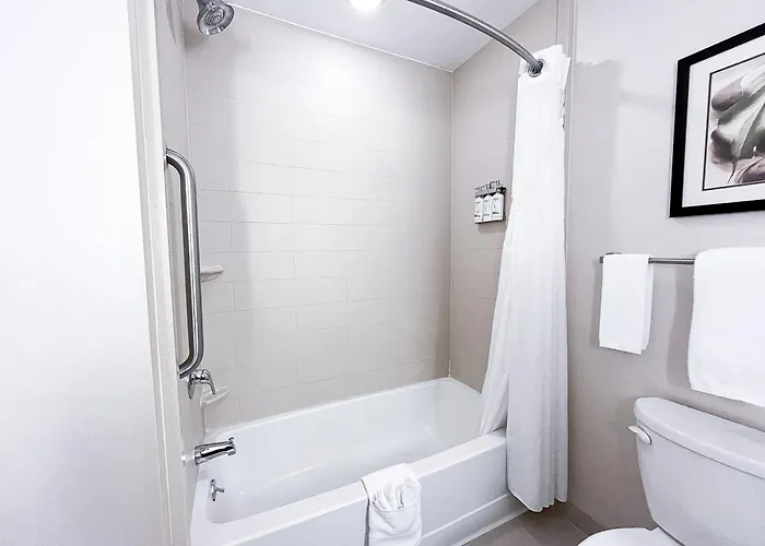 Express & Peoria Area By Ihg Morton